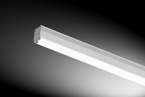 PICTOR HALBRUND 18x26