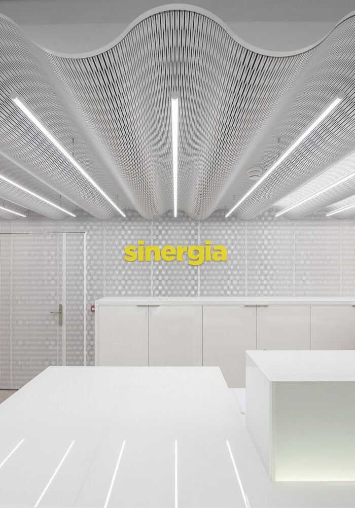 sinergia