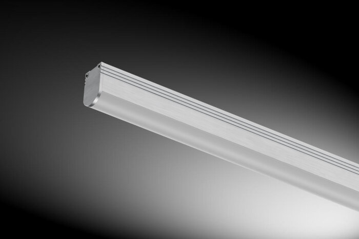 PICTOR HALBRUND 18x26