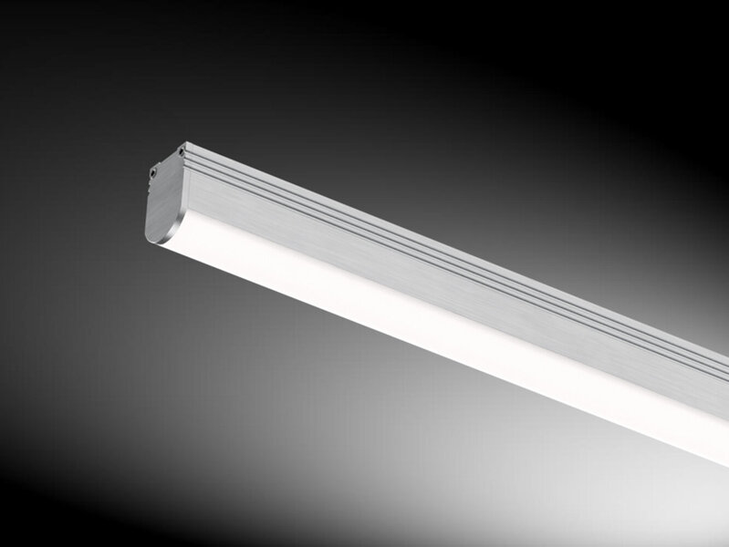 PICTOR HALBRUND 18x26